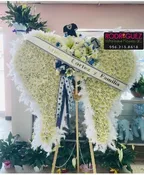 ANGEL WINGS: COWBOYSS THEME