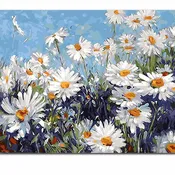 Field of Daisies
