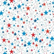 All American Gnomes White Stars 12728-09 By Benartex Fabrics