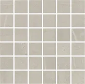 Adrock Latte 2X2 mosaic