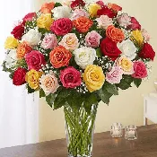 4 Dozen Mixed Rose Vase