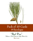HOLIDAY CARD SET PACK OF 10 CARDS