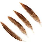10 PC/PKG Golden Pheasant Tails 6-8" - Natural