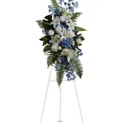Ocean Breeze Spray by Teleflora