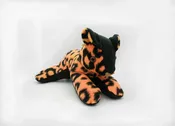 Huggy Tiger — Made In Broward