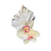 Single Orchid Wrist Corsage