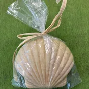 Shell soap
