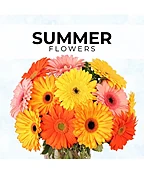 SUMMER FLORIST’S PICK