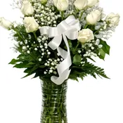Dozen Long Stemmed White Roses with Baby's Breath