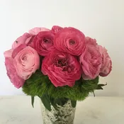 Pretty in pink