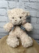 Baxter's Plush Bear