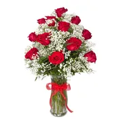 1 Dozen Roses