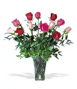 A Dozen Multi-Colored Roses