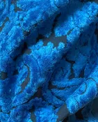 11 Yards of Pierre Frey Electric Blue Fabric Cut Velvet Damask Fabric — Thrive Decor