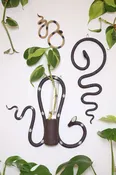Propagation Wall Snake Sets