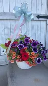 Blooming Hanging Plant  Basket