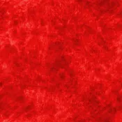 Bright Red Quilt Back - Grunge Paint 108" wide Fabric (1 yard pack)