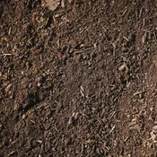Bloom Wood Blend Compost