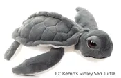 Plush- 10″ Kemp’s Ridley Sea Turtle