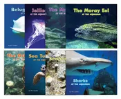 Aquarium Collection