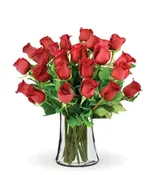 12 Red Long Stem Roses
