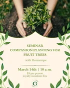 Companion Planting for Fruit Trees