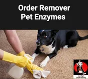 Pet Treatment/ Enzyme Treatment $20 "Per Room"