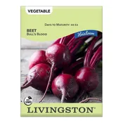 Livingston Seed Beet Bull's Blood (Heirloom) Seed