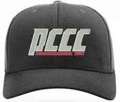 Alabama ACCC Black Wool Fitted Baseball Umpire Cap