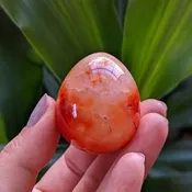 Carnelian Egg Carved Crystal Egg Stone for Self-Esteem - 2" to 2.5"