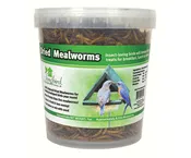 16oz Mealworm Tub