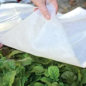 Frost Blanket Row Cover