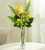 Love's Embrace™ Roses – Yellow