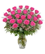 2 DOZEN PINK ROSES