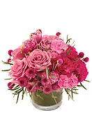 BLUSHING LOVE
