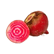 Chioggia Beet