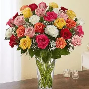 3 Dozen Mixed Rose Vase