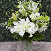 PURELY VERDANT