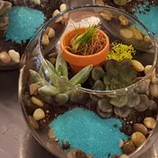 Cool Waters