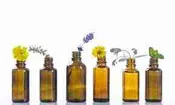 5ml Essential Oil