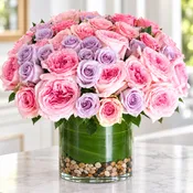 Esperance 40 Pink and Lavender Roses