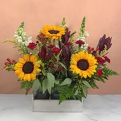 Harvest Trio