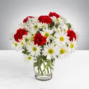 Daisy Crazy by BloomNation™