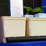 Bato Bucket - Hydro Trough - Beige - 11 Liter  - 10 Pack