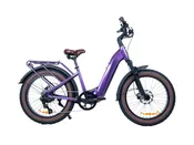 Bliss eBike | Magnum