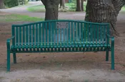 Memorial Bench
