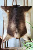 Brown & Tan Goat Hide Rug #460