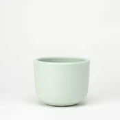 6" House Plant Cache Pot - Succulent