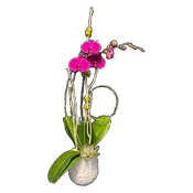 AFO 150-1 Pink Phalaenopsis Orchid Harvest Elegance Floral Arrangement