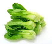 上海青油菜種子